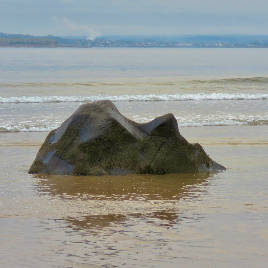 21 July 2023 – First&nbsp;Post