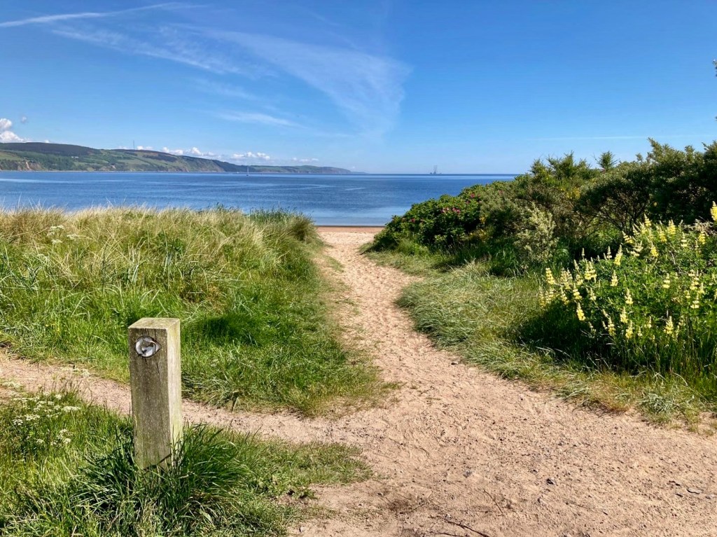 The Web of&nbsp;Consciousness