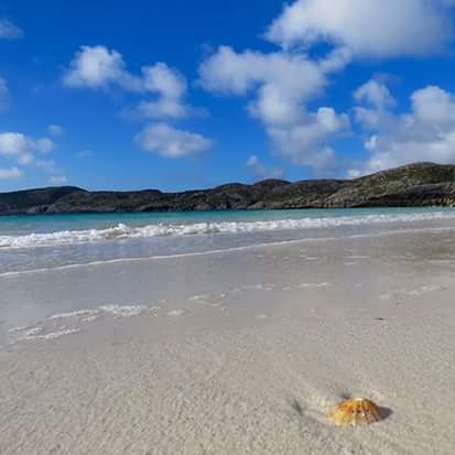 Consciousness is not in our&nbsp;head