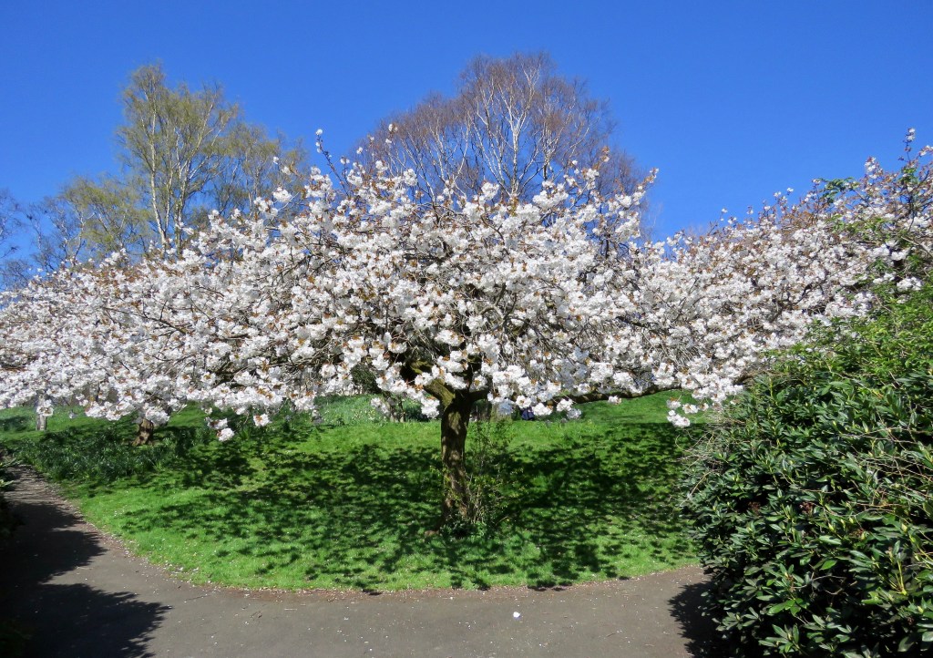 About Conscious Awareness